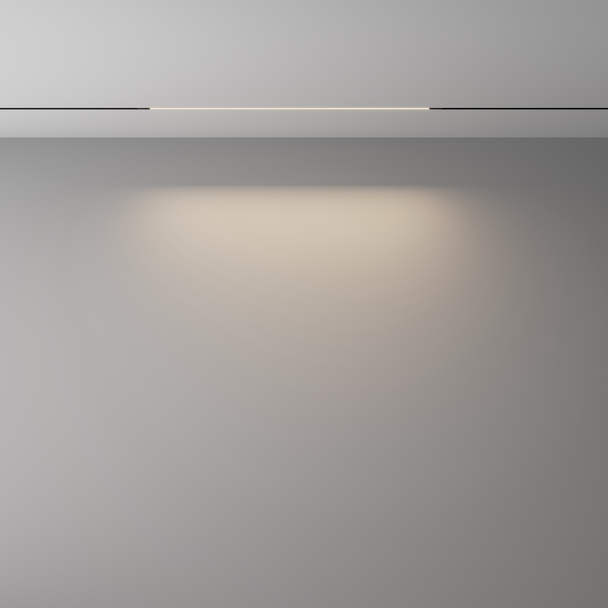 Трековый светильник Basis Exility X 4000K 12Вт 120° 61*1*-1 см, *LED*12W, 650K, Maytoni Technical  TR240-2-12W4K-B, Черный