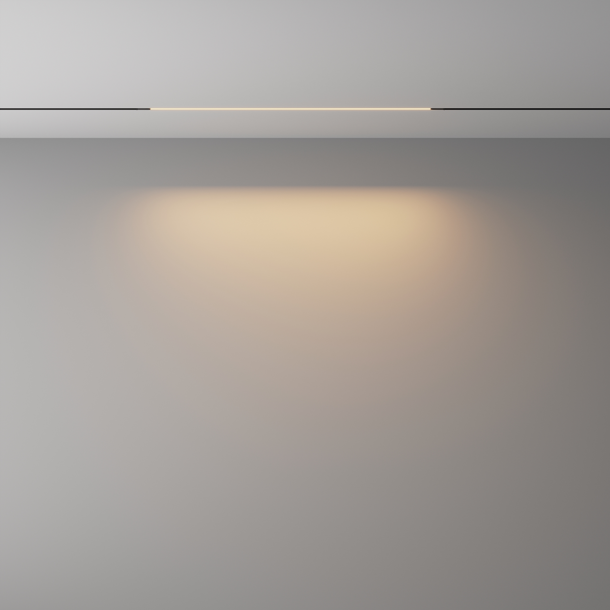 Трековый светильник Basis Exility X 3000K 12Вт 120° 61*1*-1 см, *LED*12W, 610K, Maytoni Technical  TR240-2-12W3K-B, Черный