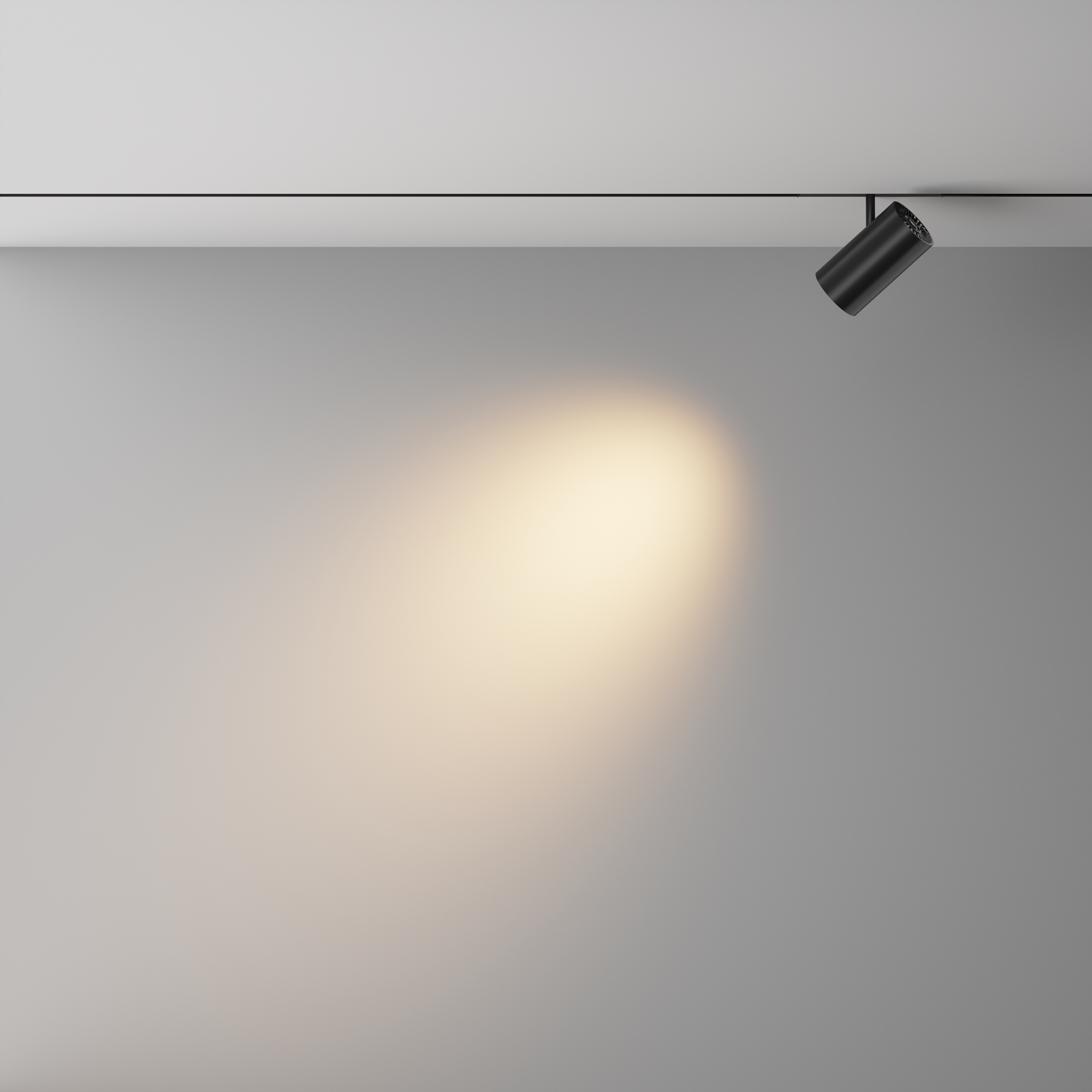 Трековый светильник Focus Led Exility X 2700-6000K 18Вт 36° Dim Smart Zigbee 16*1*-14 см, *LED*18W, K, Maytoni Technical  TR243-4-18WTW-DSZ-B, Черный