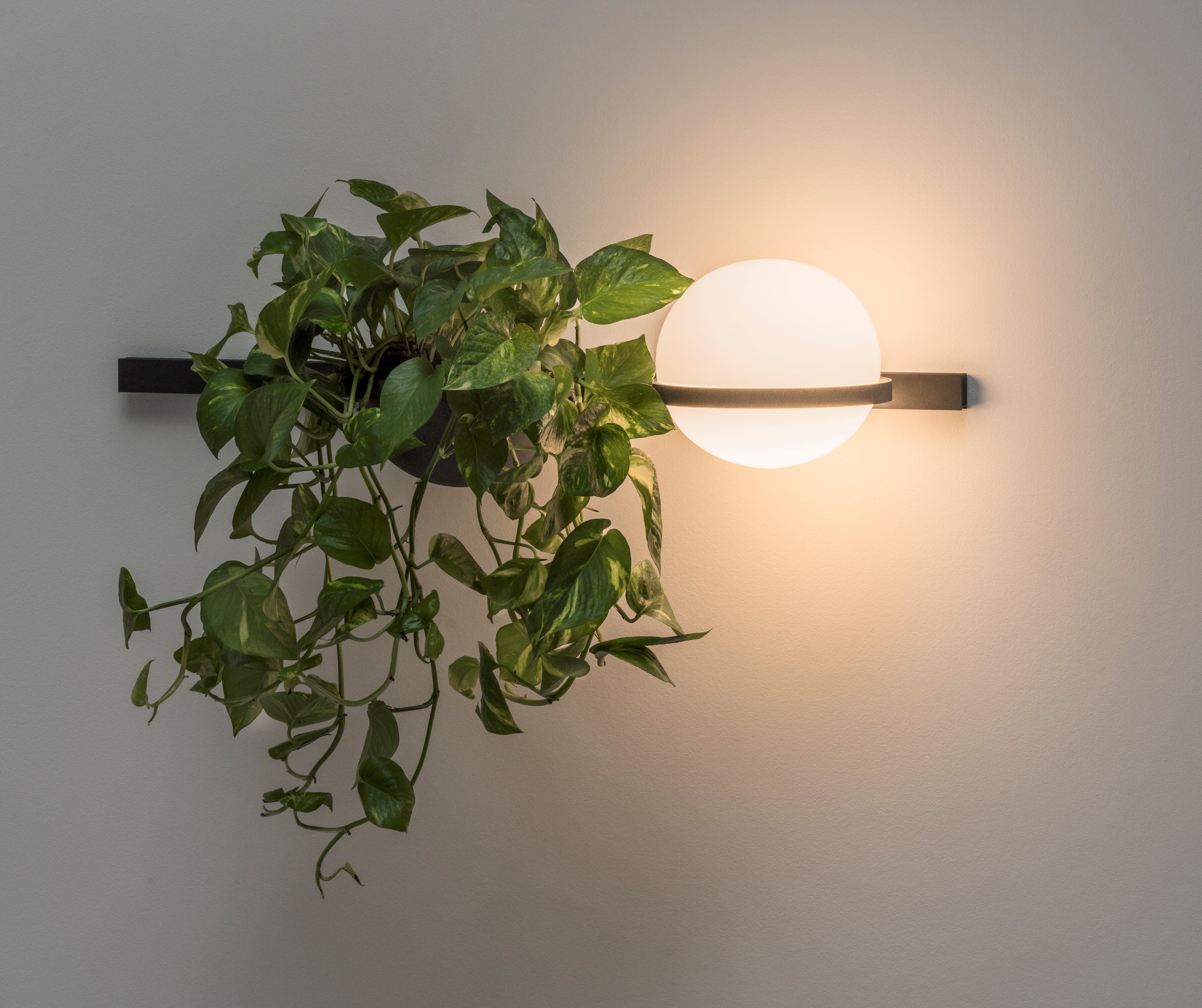 Бра PALMA Wall lamp 1 шар 55*25*22 см, 1*LED*9W, 3000, 4000, 6000K, ImperiumLoft 22.93726, Серый