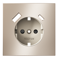 Накладка для розетки с заземлением и защитными шторками, с USB A+C, S70 Metal, платина Voltum VLSM001010