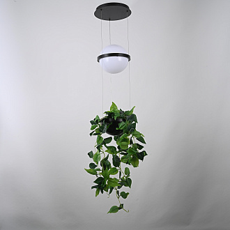 Подвесной светильник PALMA Wall lamp шар + вазон 22*22*250 см, 1*LED*9W, 3000, 4000, 6000K, ImperiumLoft 22.93727, Серый