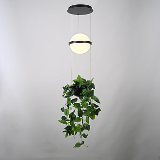 Подвесной светильник PALMA Wall lamp шар + вазон 22*22*250 см, 1*LED*9W, 3000, 4000, 6000K, ImperiumLoft 22.93727, Серый