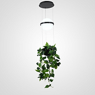 Подвесной светильник PALMA Wall lamp шар + вазон 22*22*250 см, 1*LED*9W, 3000, 4000, 6000K, ImperiumLoft 22.93727, Серый