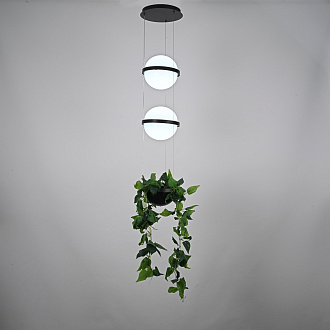 Подвесной светильник PALMA Wall lamp 2 шара + 1 вазон 22*22*300 см, 2*LED*9W, 3000, 4000, 6000K, ImperiumLoft 22.93727, Серый
