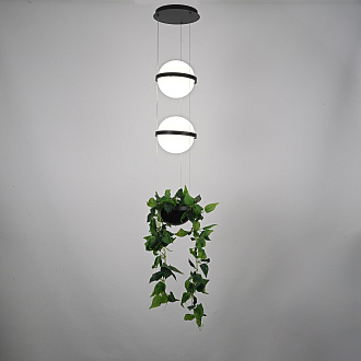 Подвесной светильник PALMA Wall lamp 2 шара + 1 вазон 22*22*300 см, 2*LED*9W, 3000, 4000, 6000K, ImperiumLoft 22.93727, Серый