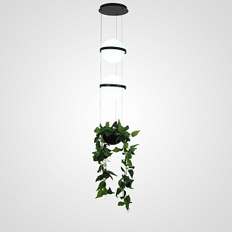Подвесной светильник PALMA Wall lamp 2 шара + 1 вазон 22*22*300 см, 2*LED*9W, 3000, 4000, 6000K, ImperiumLoft 22.93727, Серый
