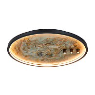 Потолочный светильник *50*7-7 см, 1*LED*43,5W, 3000K, Favourite Tallar 4861-3C, черный