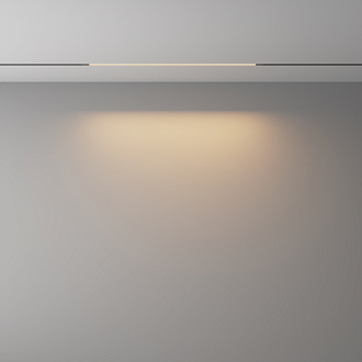 Трековый светильник Basis Exility X 3000K 12Вт 120° 61*1*-1 см, *LED*12W, 610K, Maytoni Technical  TR240-2-12W3K-B, Черный
