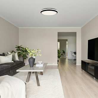 Светильник *40*-6 см, *LED*96W, Freya  FR6086CL-L117B, Черный