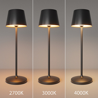 Аккумуляторный светильник *8,5*-27,5 см, *LED*1W, Maytoni Nook MOD494RL-L1BK, Черный