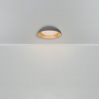 Светильник *50*-13 см, *LED*62W, 3000-7000K, Freya Лунный свет/Moonlight FR5277CL-L72GR, Серый
